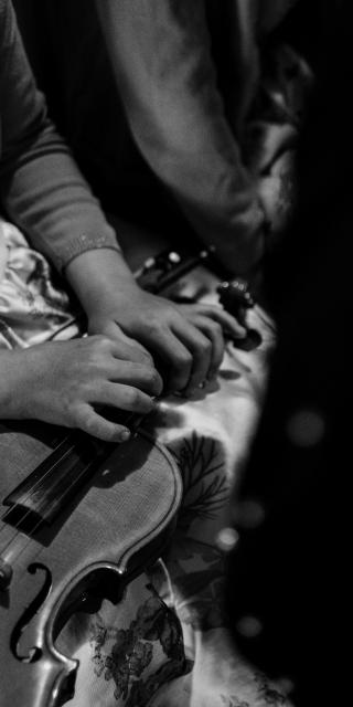 Orchestra Piccola+Pinguínek