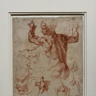 Michelangelo Buonarroti - kresba